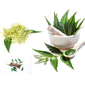 neem leaf benefits in tamil